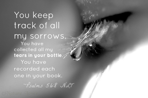 Does God Really Collect Our Tears in a Bottle? (Psalm 56:8)