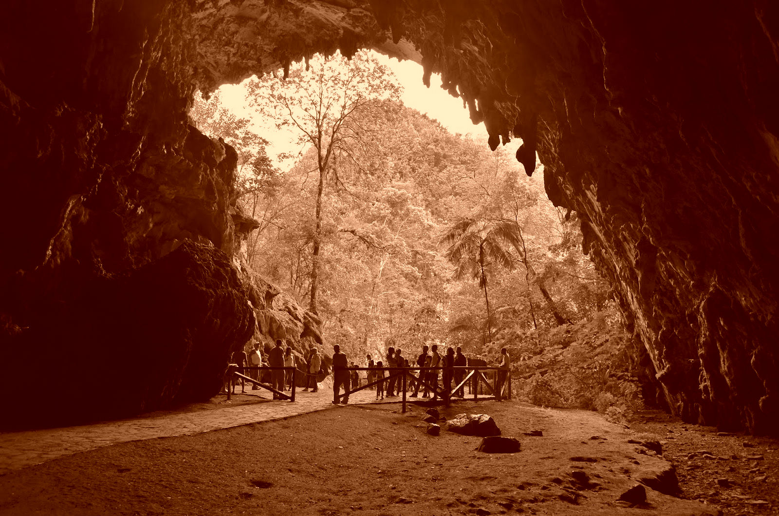 Cueva-de-guacharo4 sepia.jpg