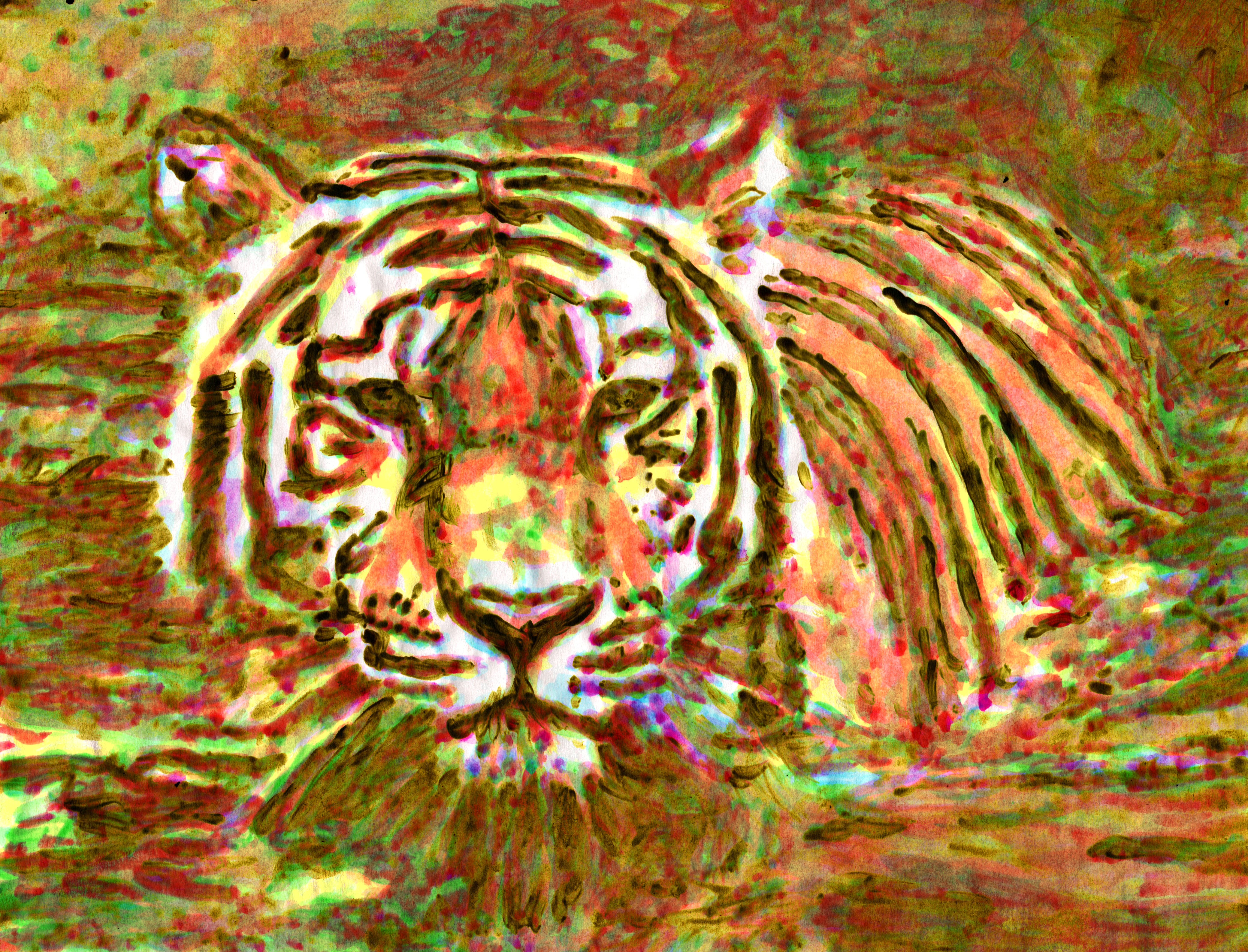 tiger.jpg