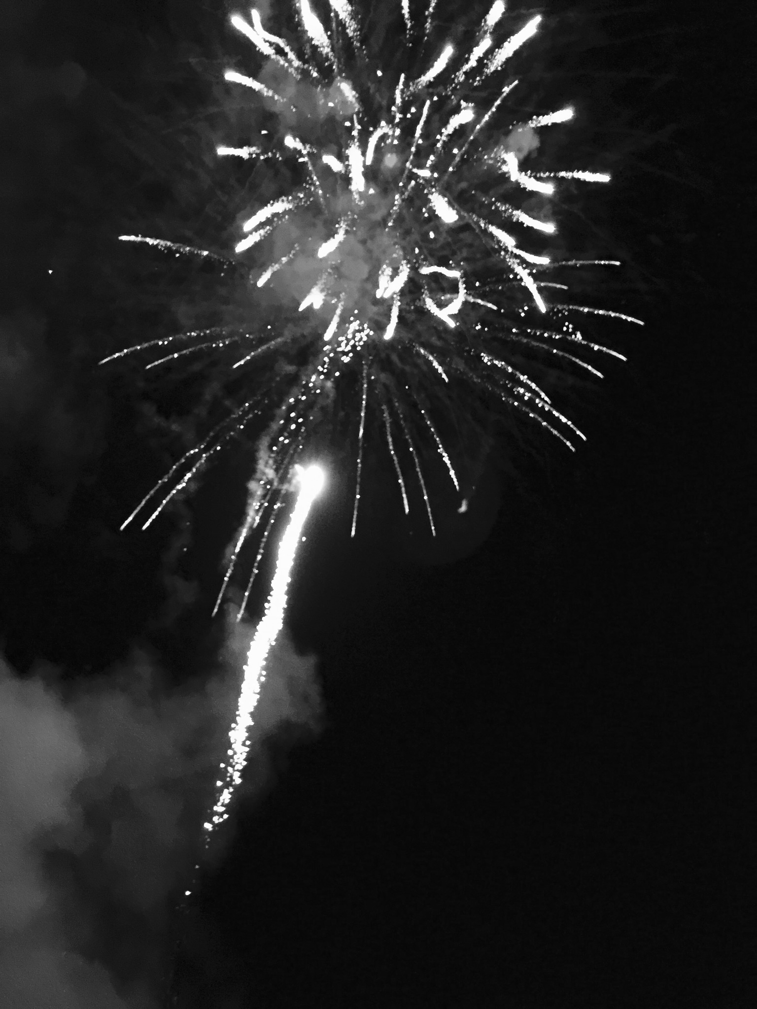A9C55B5A-8956-495C-9E1E-8EB3EF0028D4.jpeg
