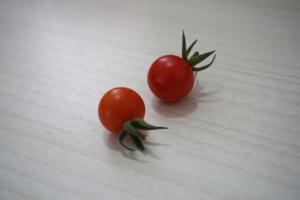 tomato2.JPG
