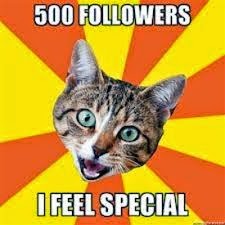 500-followers.jpg