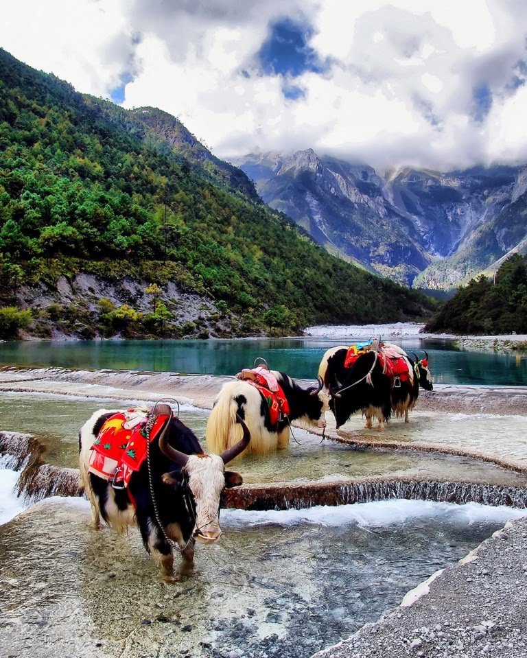 06_picfair-jade-dragon-snow-mountain-china-768x959.jpg