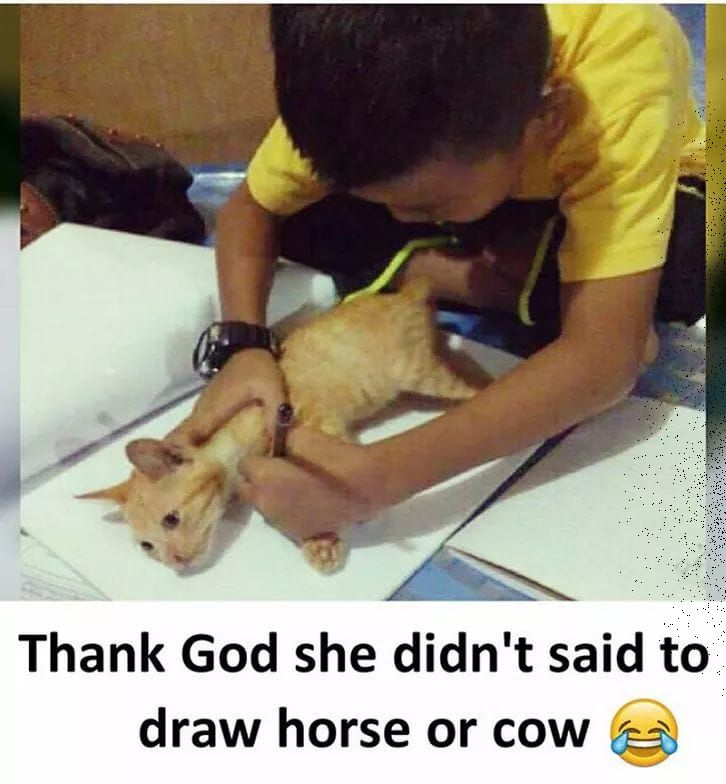 Teacher gave him homework to draw a cat.jpg