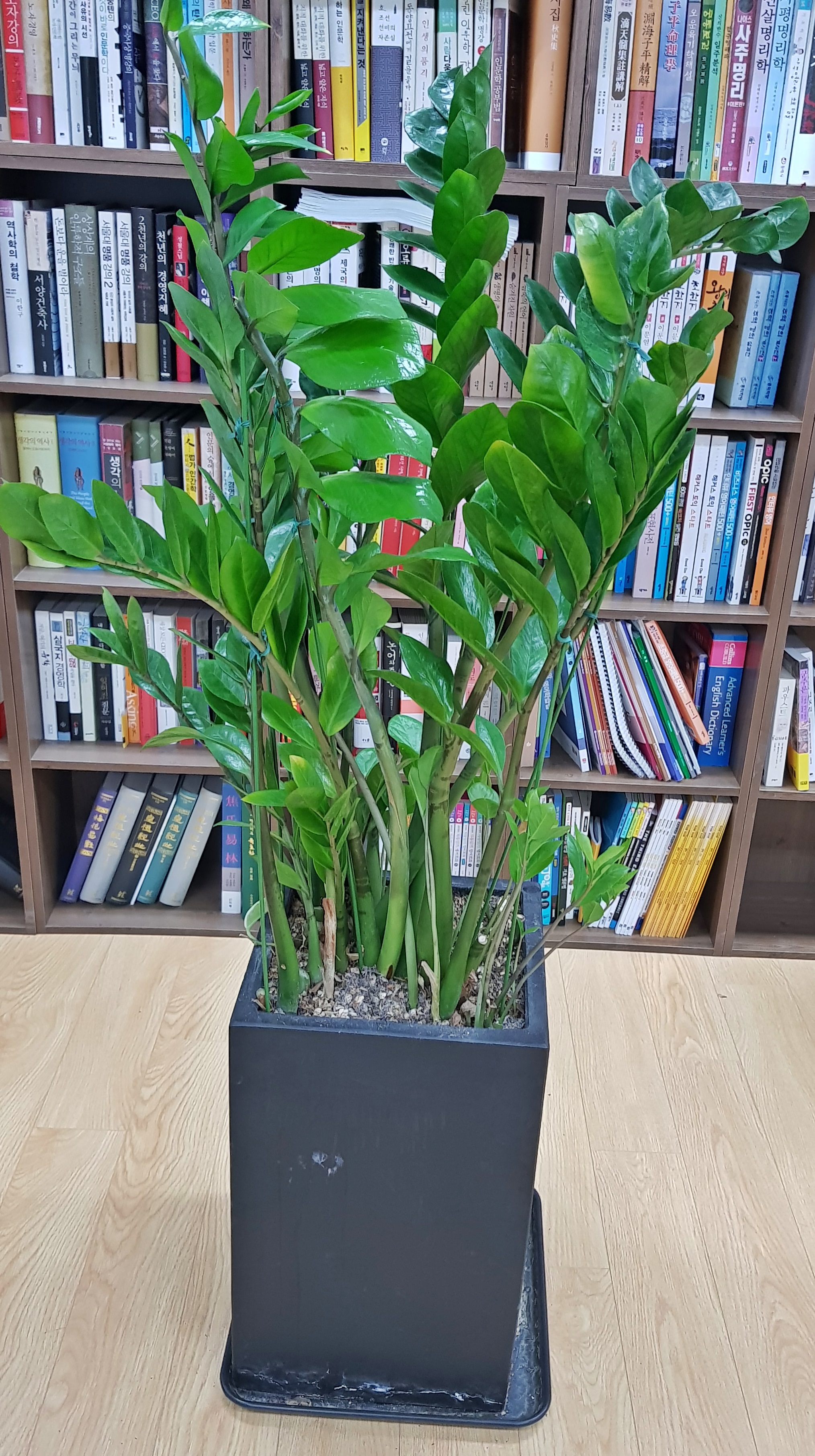 20180316_145939.jpg