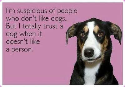 Trust dogs.jpg