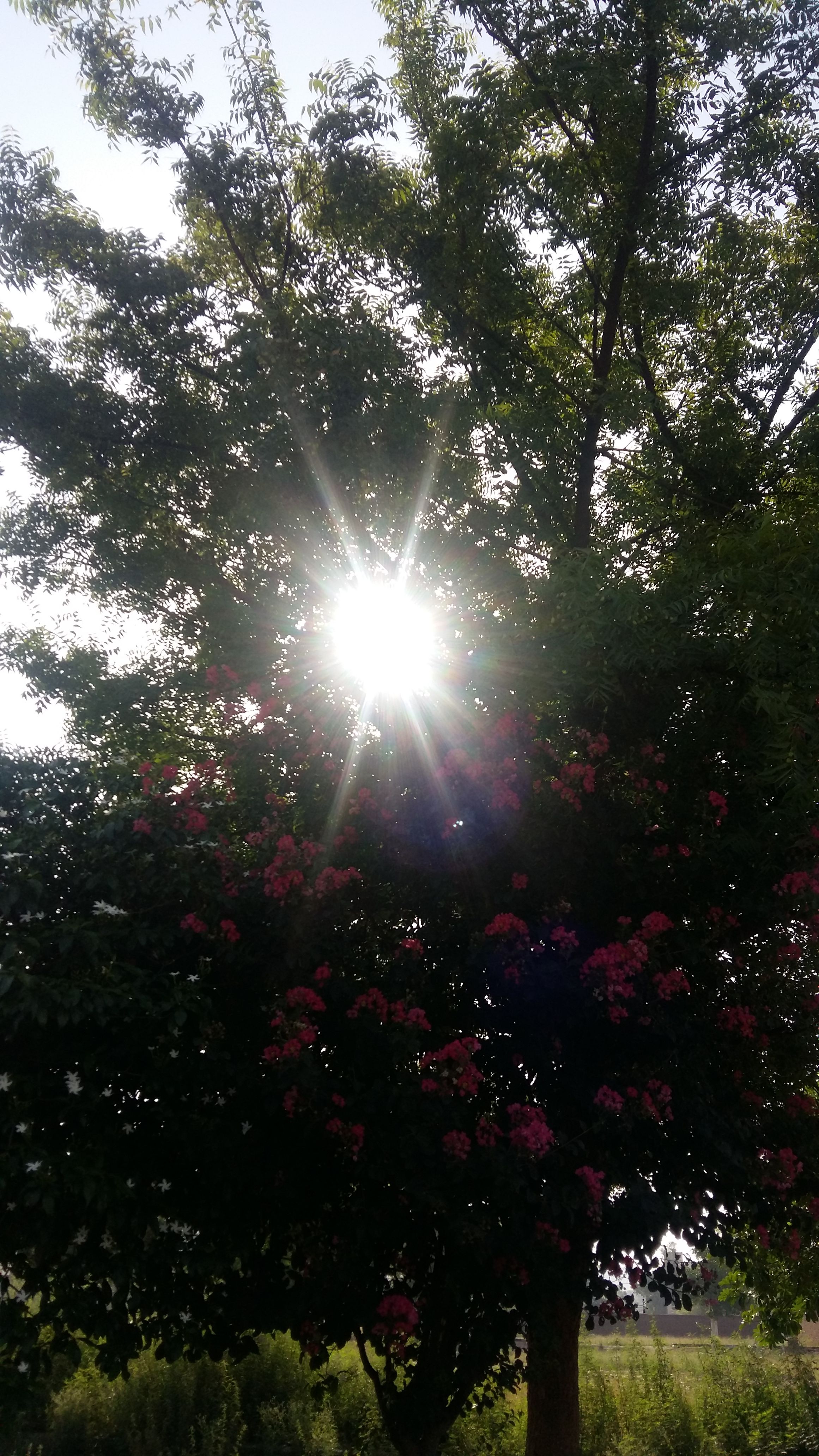 20170612_075647.jpg
