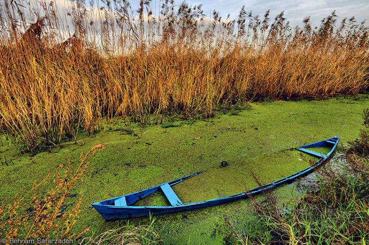 Anzali Lagoon.jpg