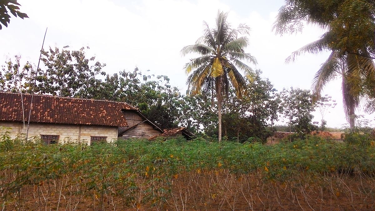 Original Landscape 12.jpg