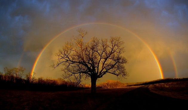 55623816.YRZA8OZp.rainbow_elam_cr_1.jpg