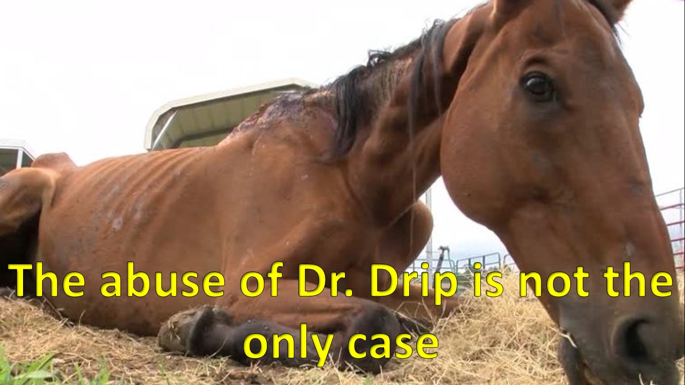 DrDrip.jpg
