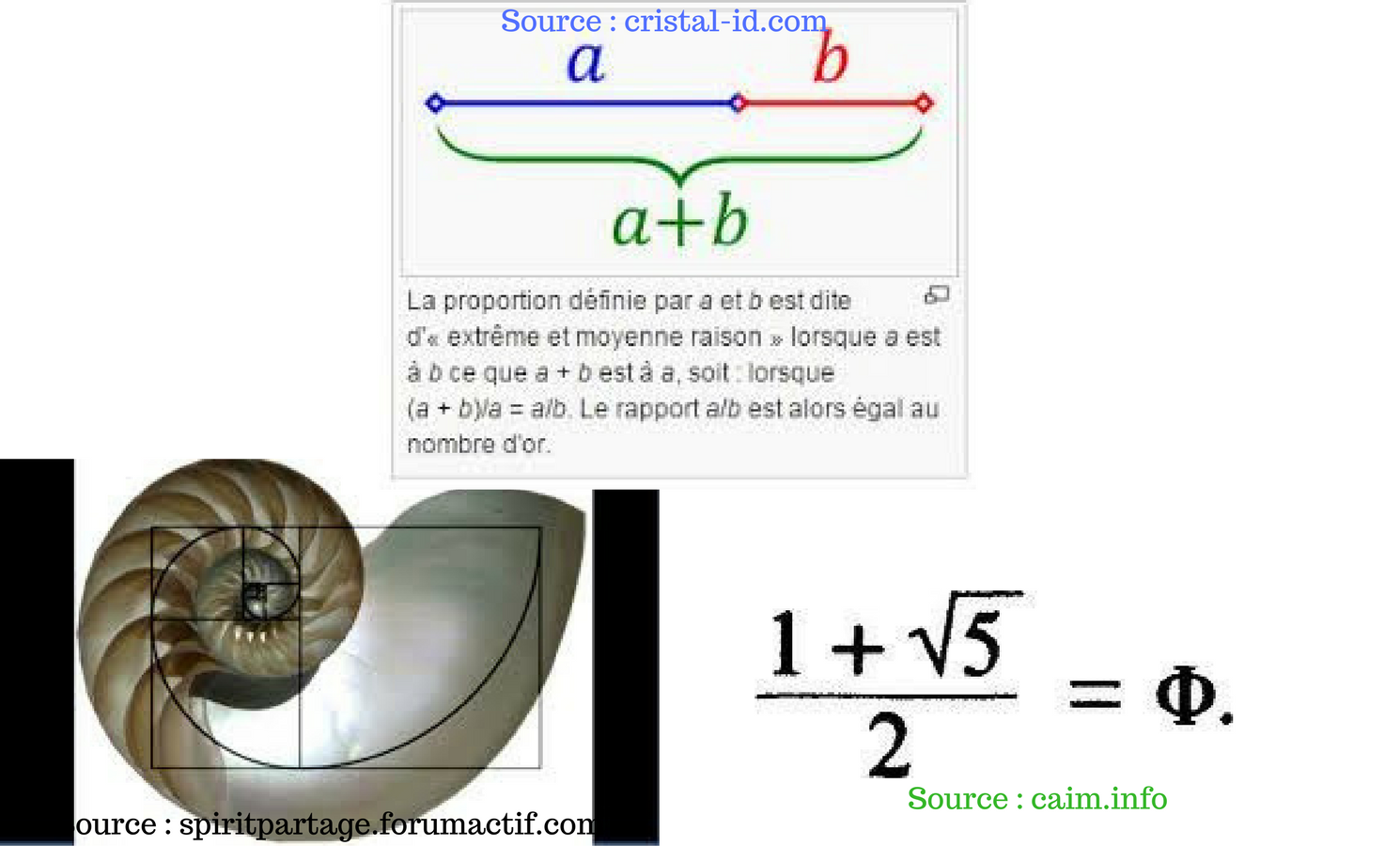 Nature et maths 2... Article (2).png