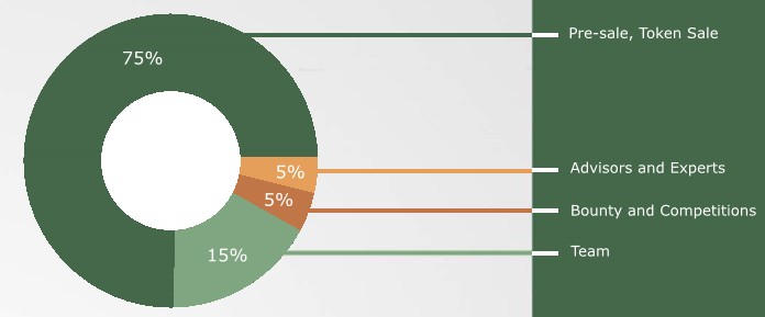 token allocation.png