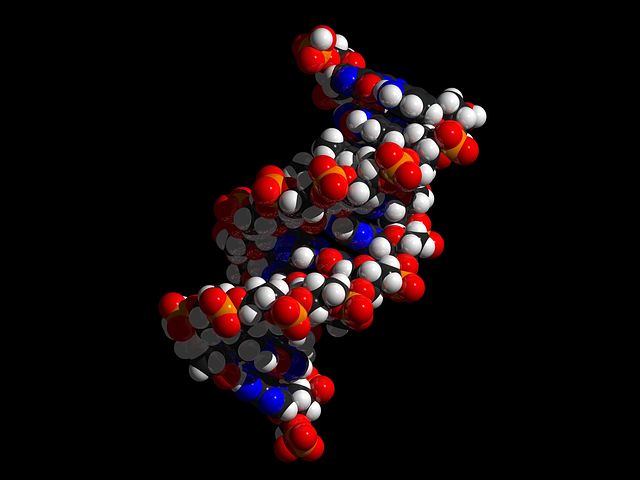 dna-694798__480.jpg