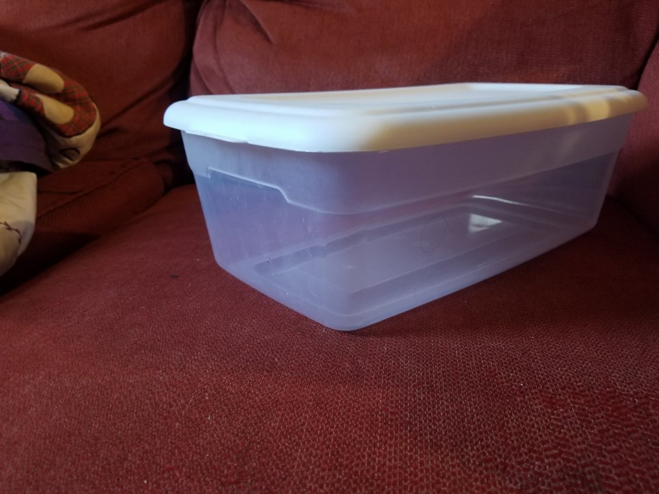 How To Build A Low Waste Quail Feeder Steemit