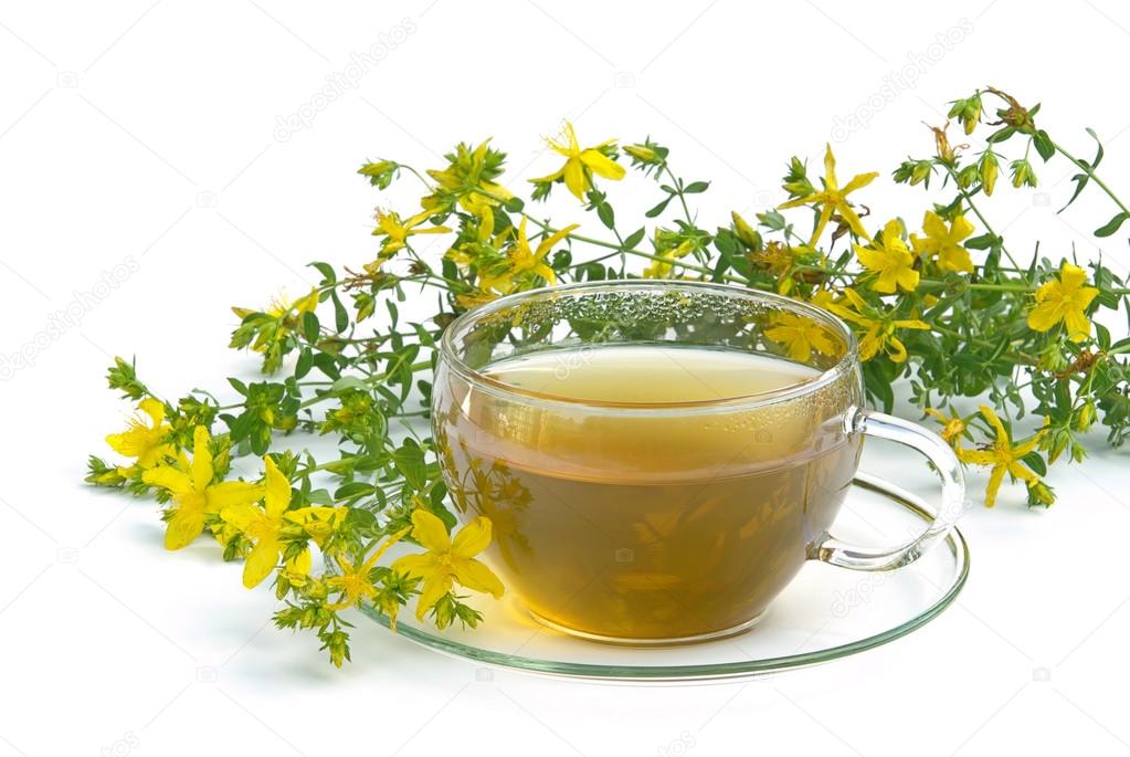 depositphotos_60656879-stock-photo-tea-st-johns-wort.jpg