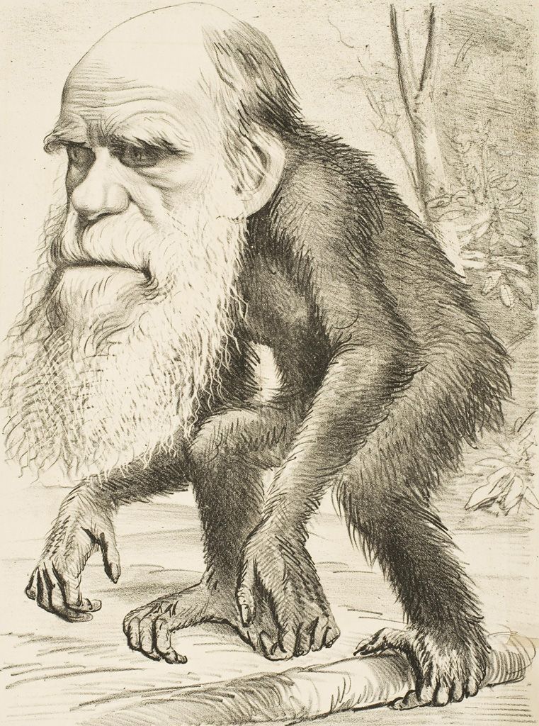 Darwin.jpg