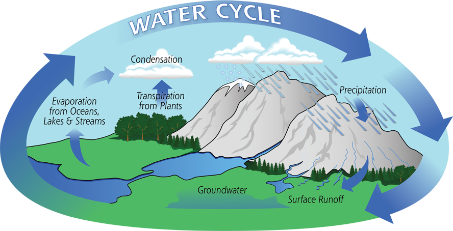 Water-Cycle-Art2A_medium.png
