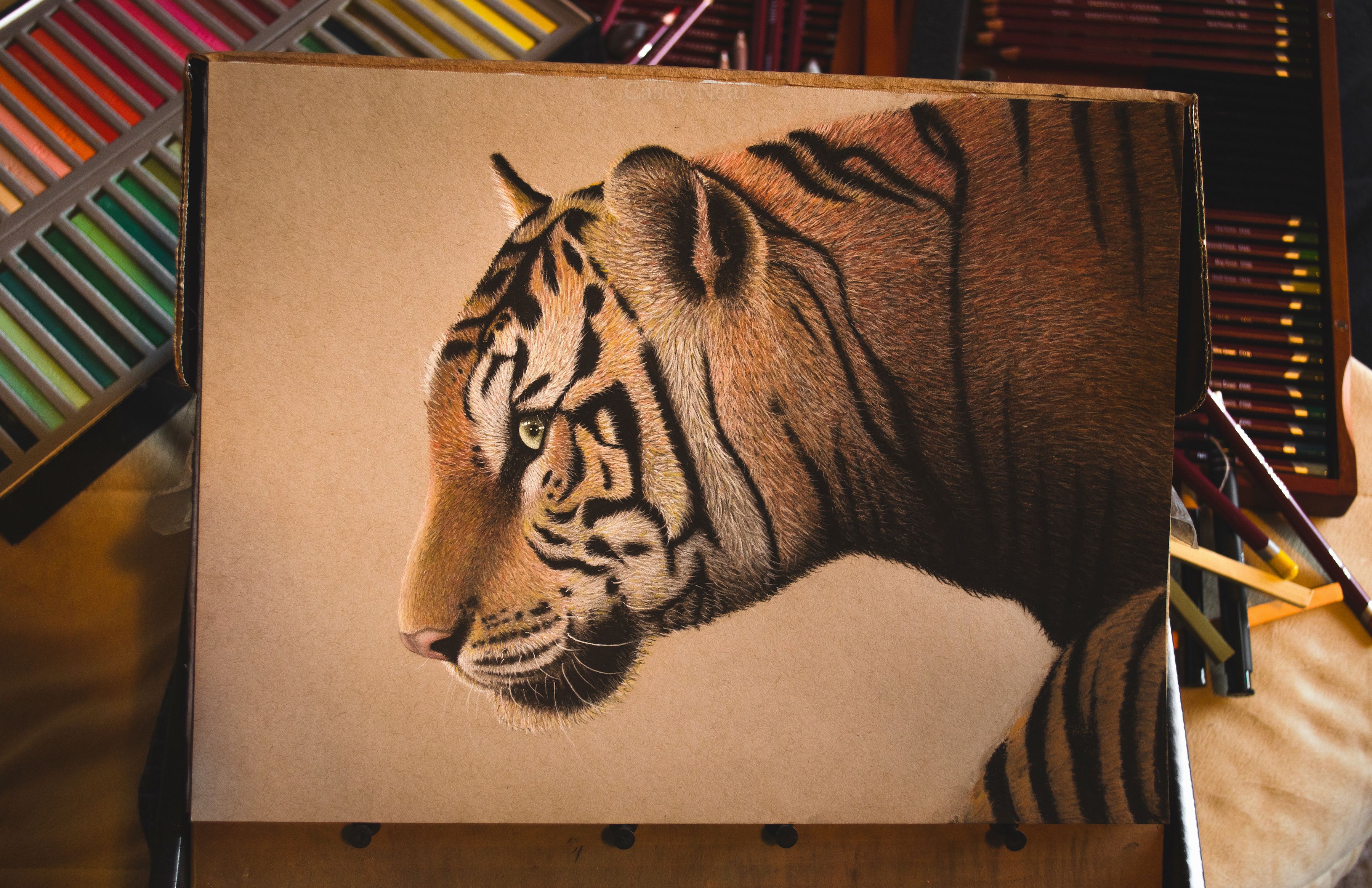 Bengal Tiger WIP 2 - Casey Neal Artwork.jpg