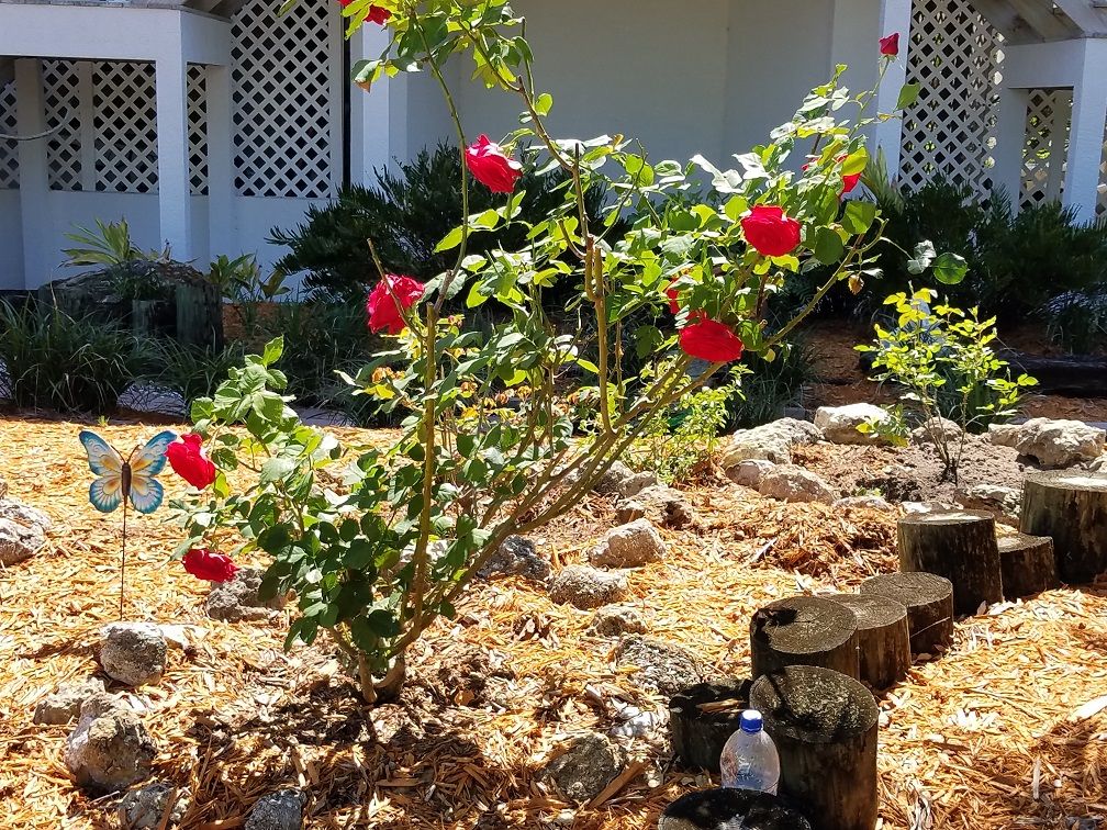 20180324_151538.jpg
