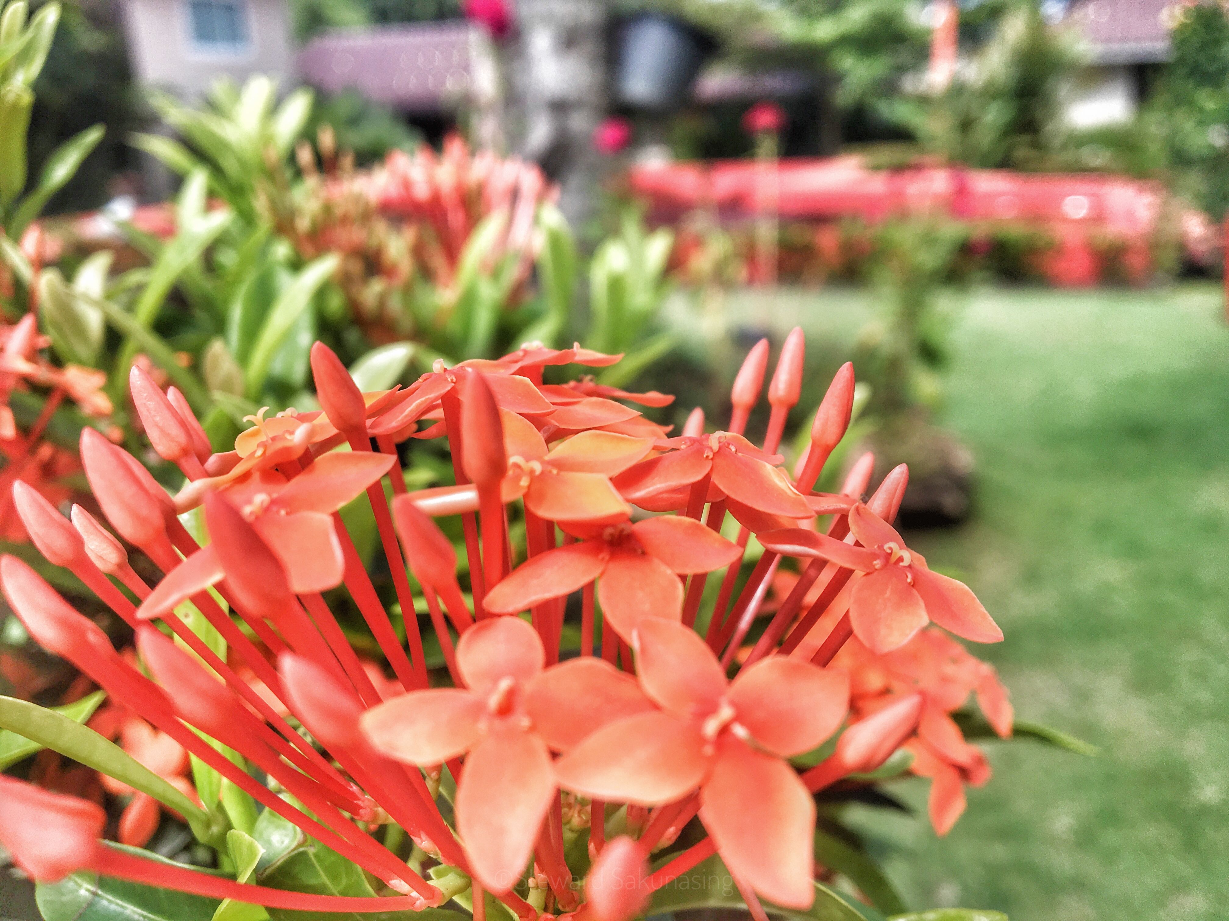 Attachment-1 (3).jpeg