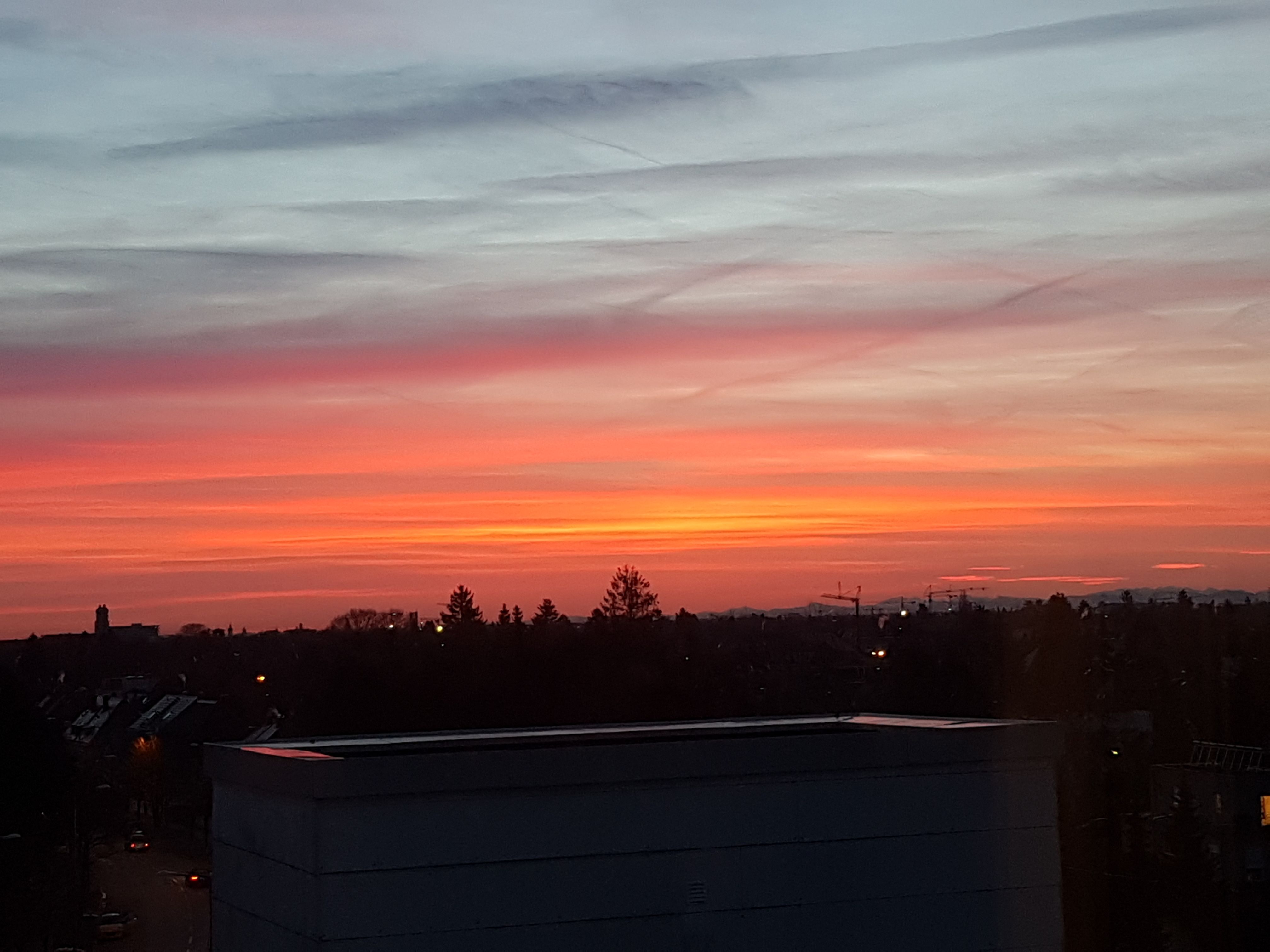 20180126_073011.jpg