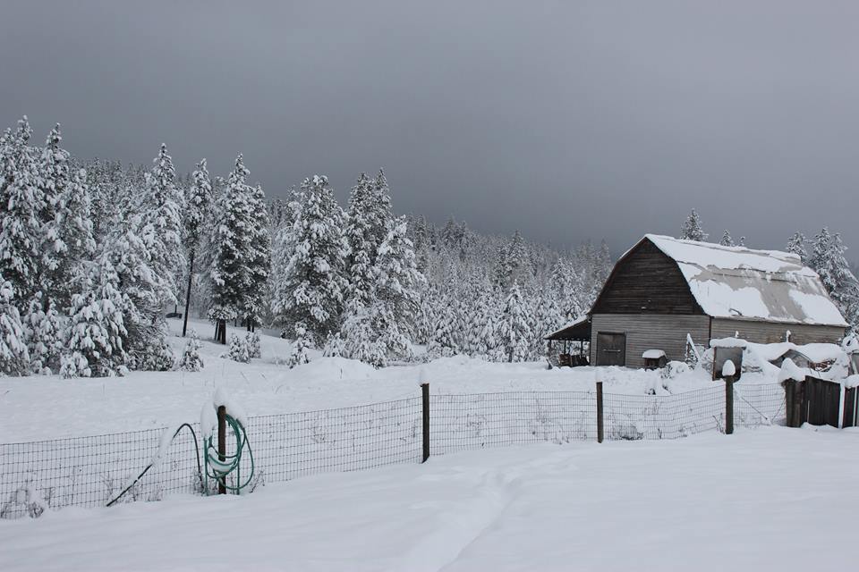 Barn snow.jpg