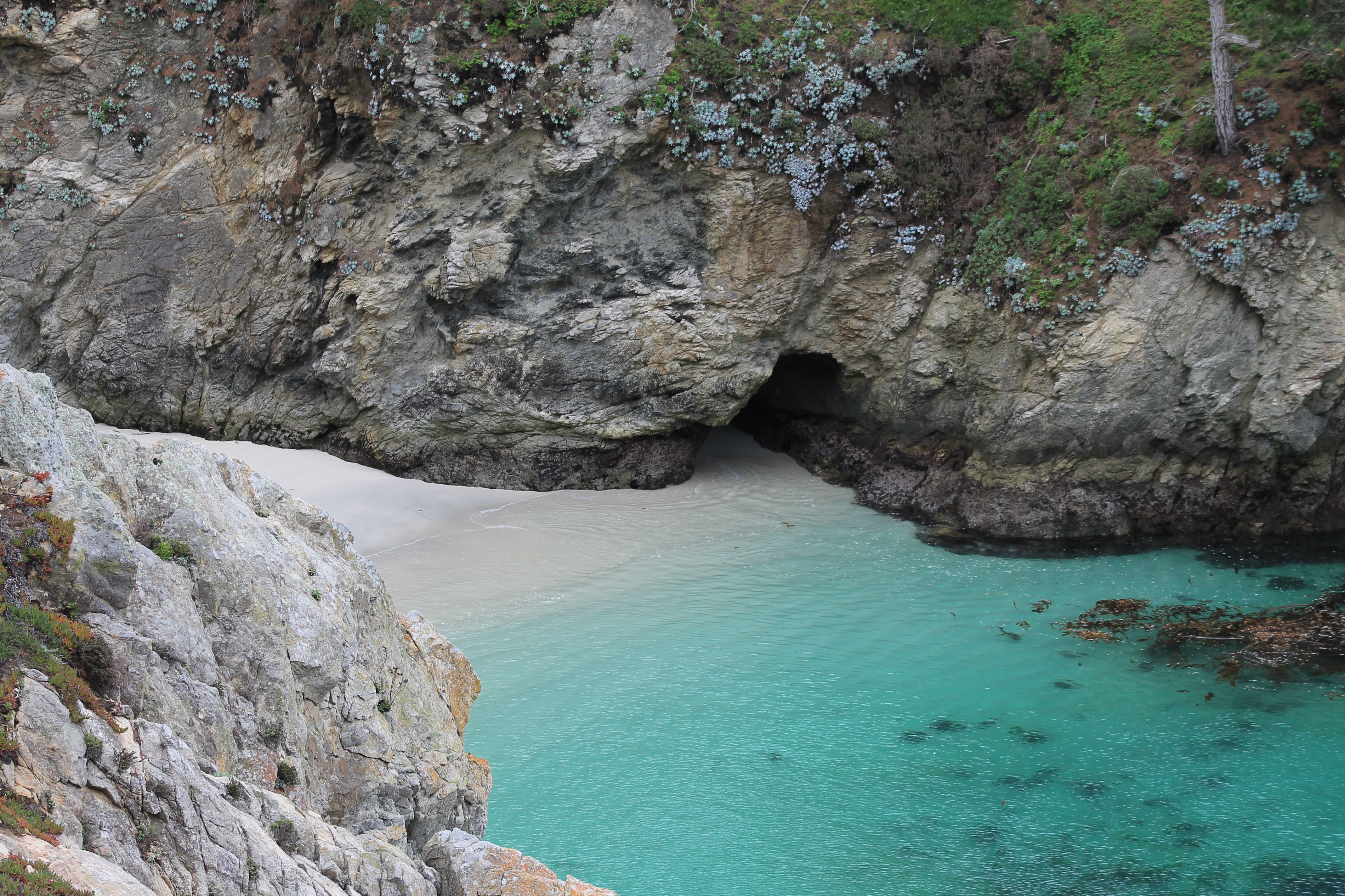 seal_cove.JPG