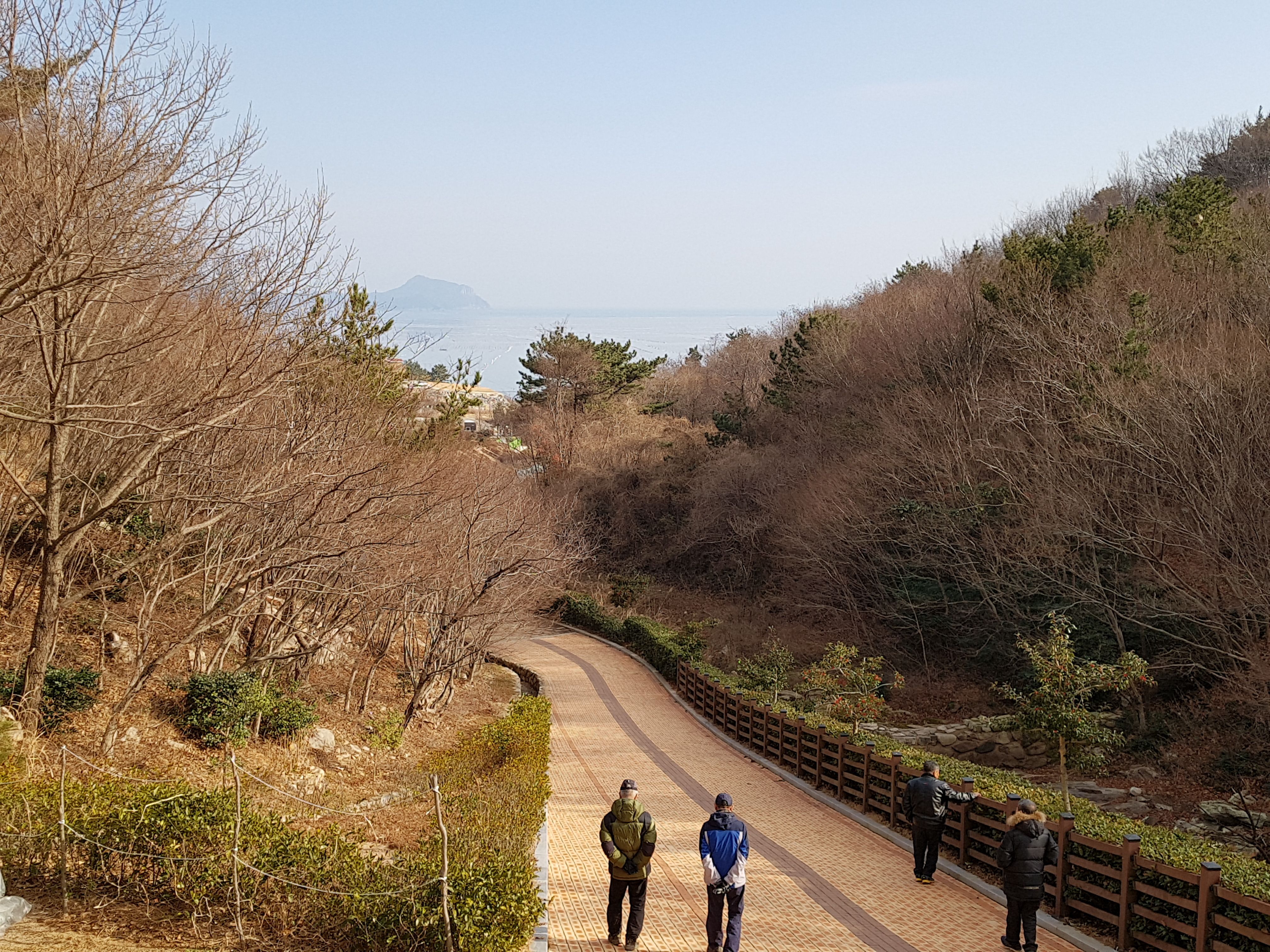 20180114_143126.jpg