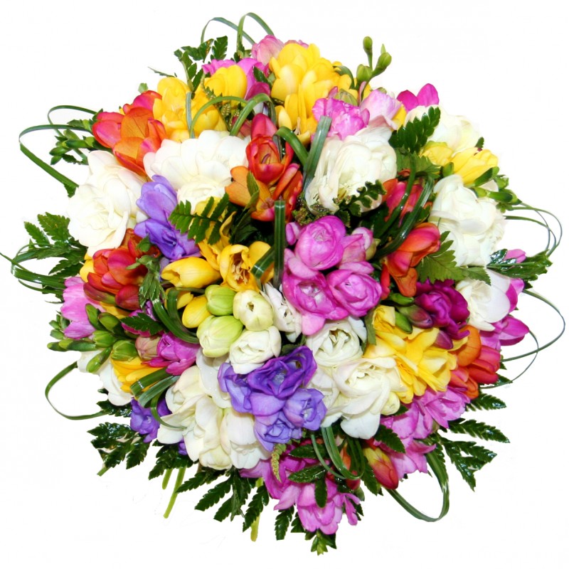 freesia-bouquet-multi-colored-51-800x800.jpg