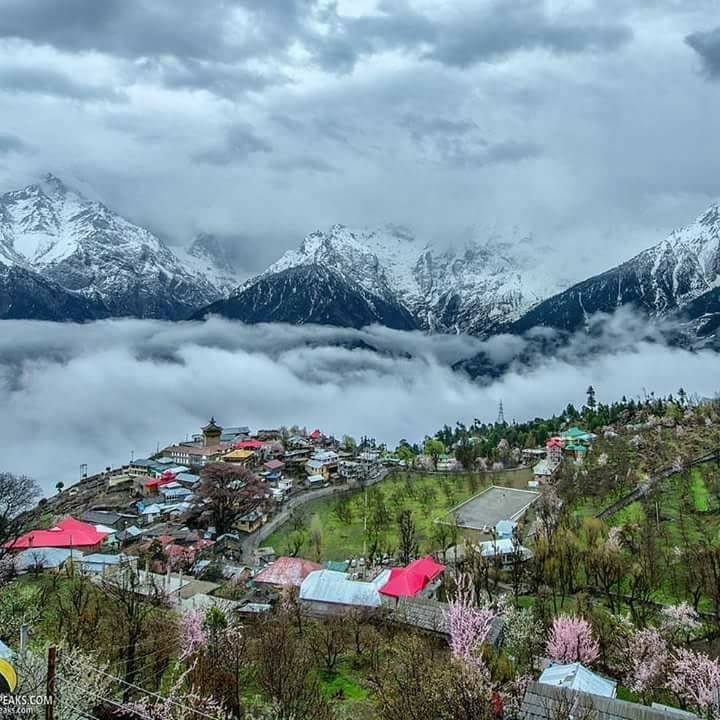 shimla 1.jpg