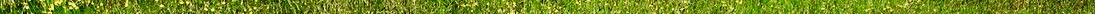 valley_blossom_forge_by_somadjinn-dc90p14 3.jpg