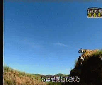 353d4d25173961c91966413d0cfb78c7.gif