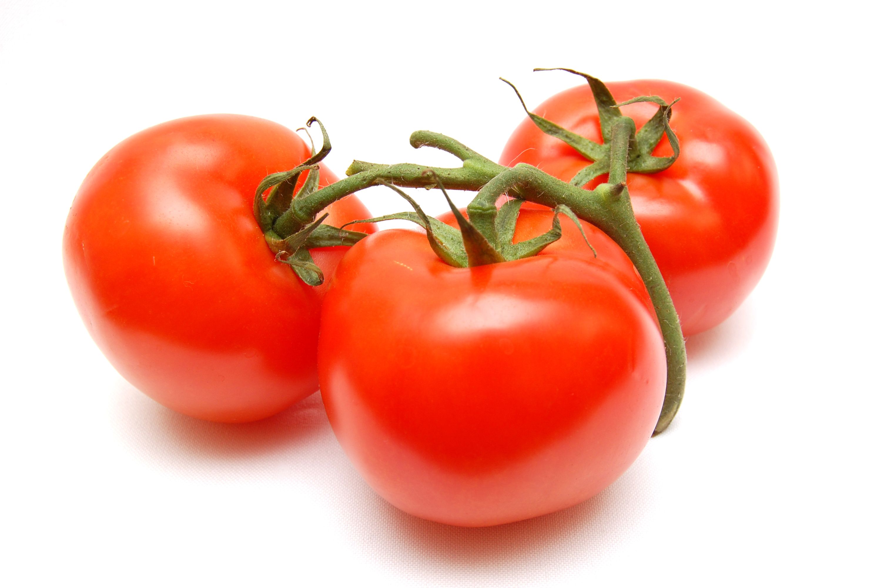 Tomates_-_Vladimir_Morozov.jpg