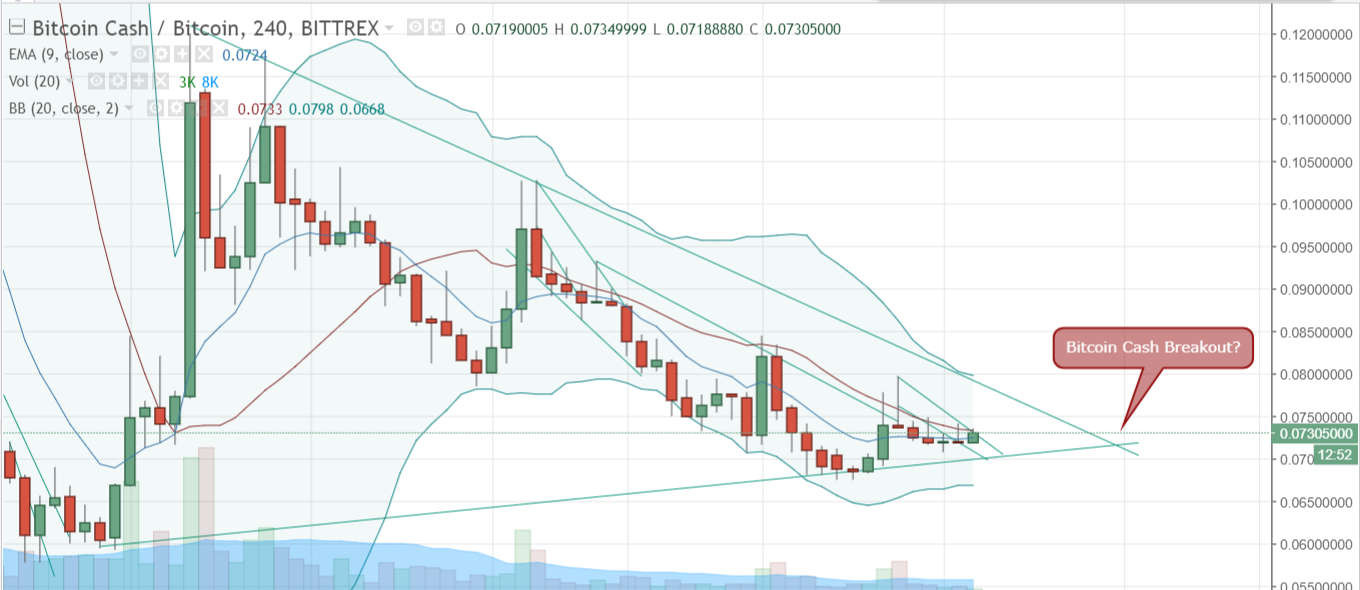 FireShot Capture 271 - BCCBTC_ 0.07305000 ▲+1.6% - Un_ - https___www.tradingview.com_chart_AxIWekrr_.png