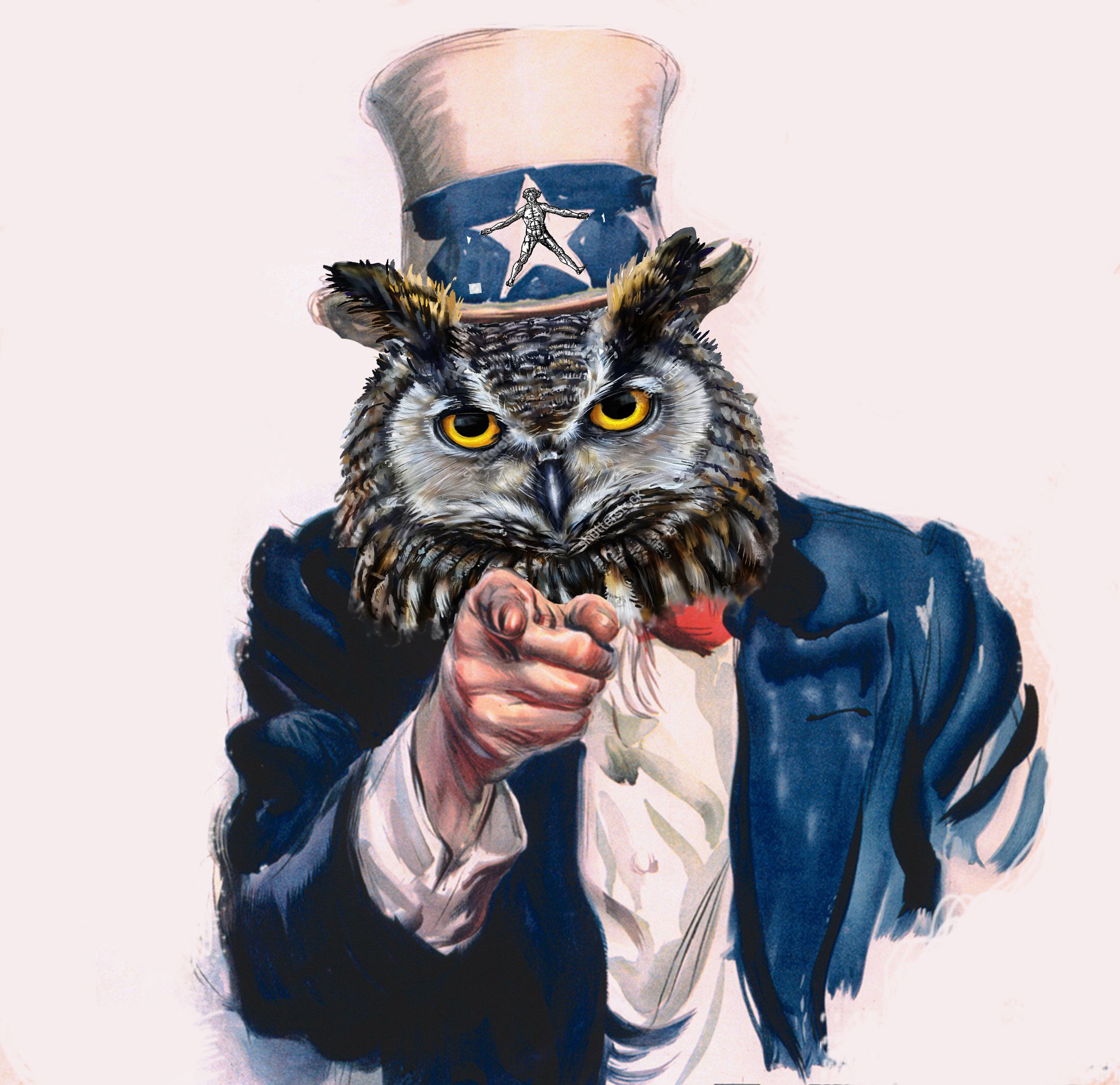 uncle sam owl.jpg