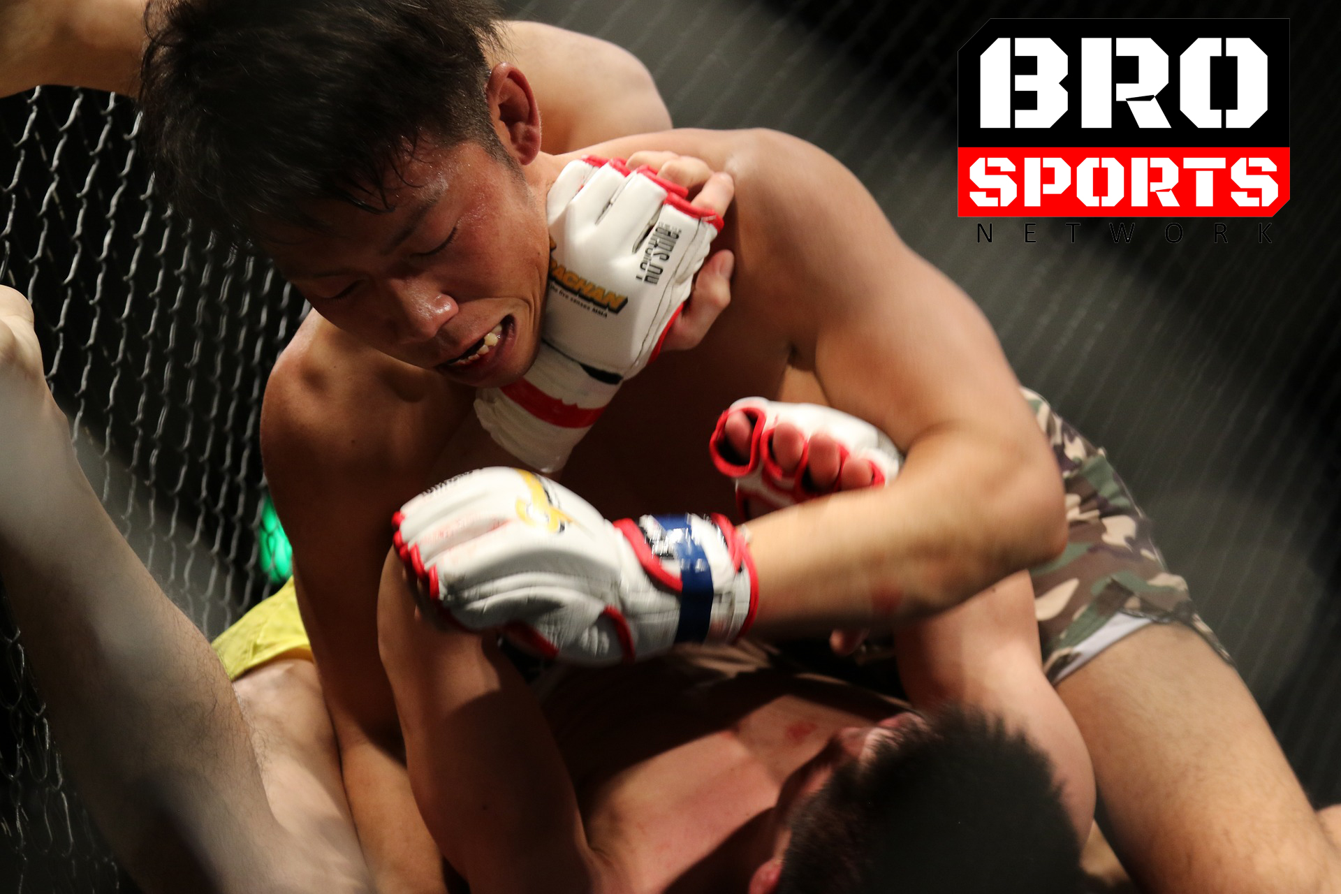 mma-1342659_1920_BroSPN.jpg