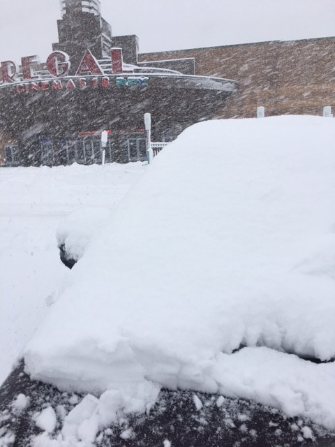 car covered with snow.jpg