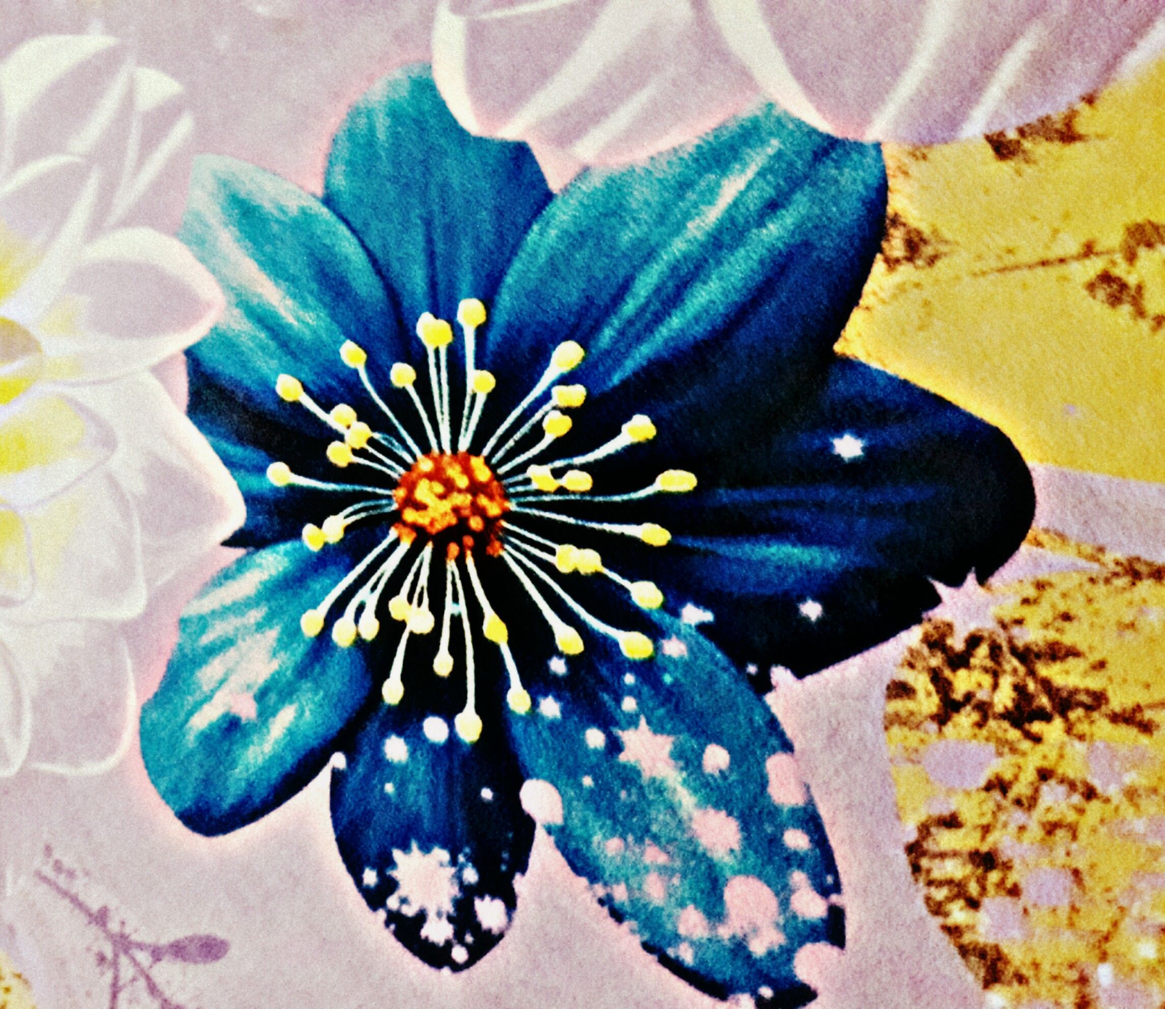 Indigo flower.jpg
