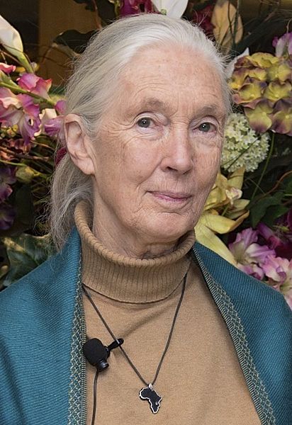 Jane_Goodall_2015.jpg