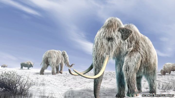 _69766211_mammoth-spl.jpg