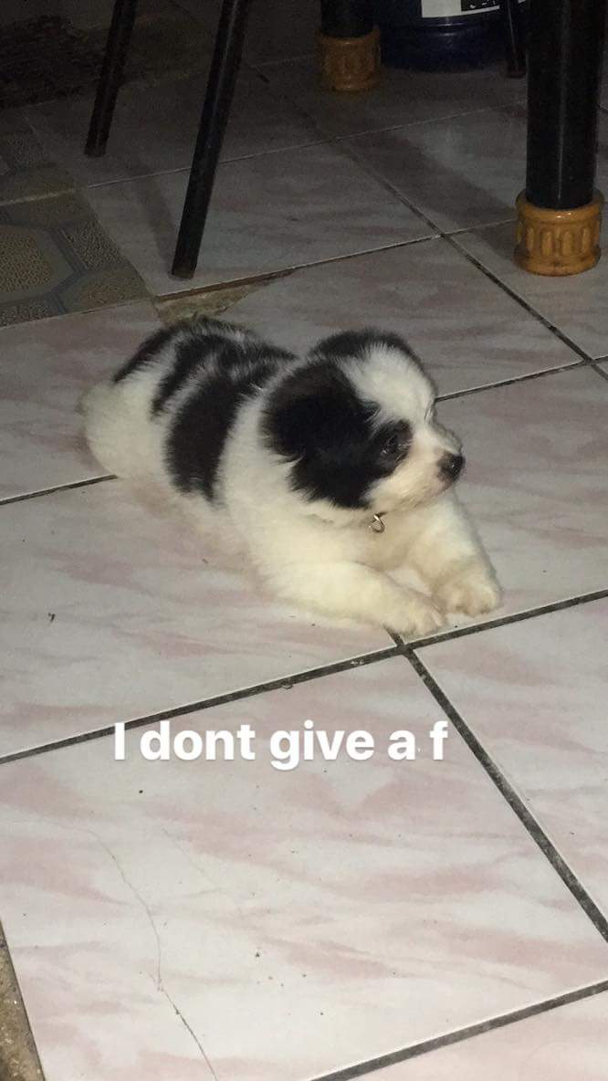 received_1499539870097545.jpeg