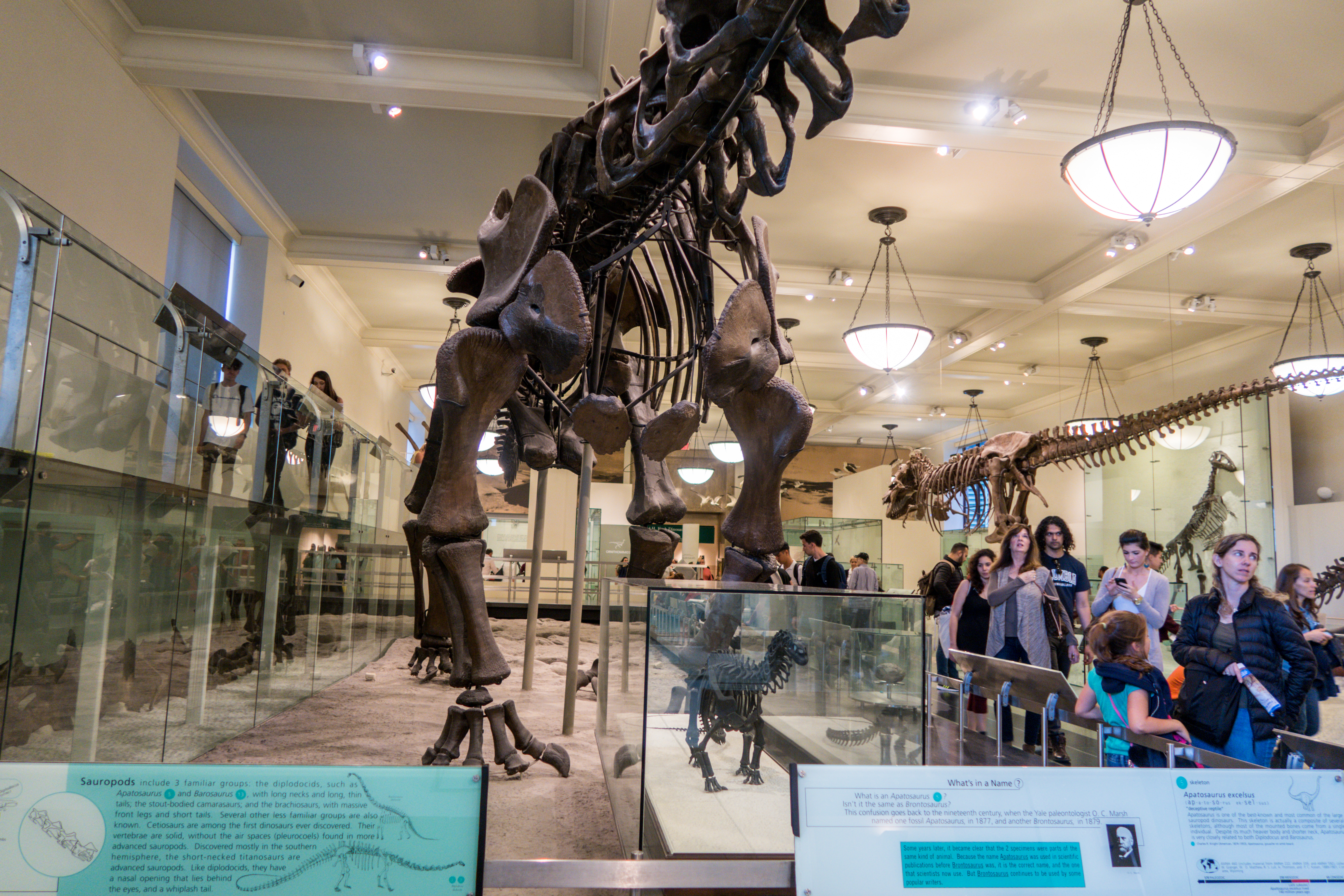 American Museum of Natural History_62.jpg