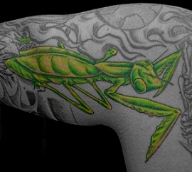 Mens Praying Mantis Tattoo Design Inspiration  Tattoo designs men Praying  mantis Tattoos