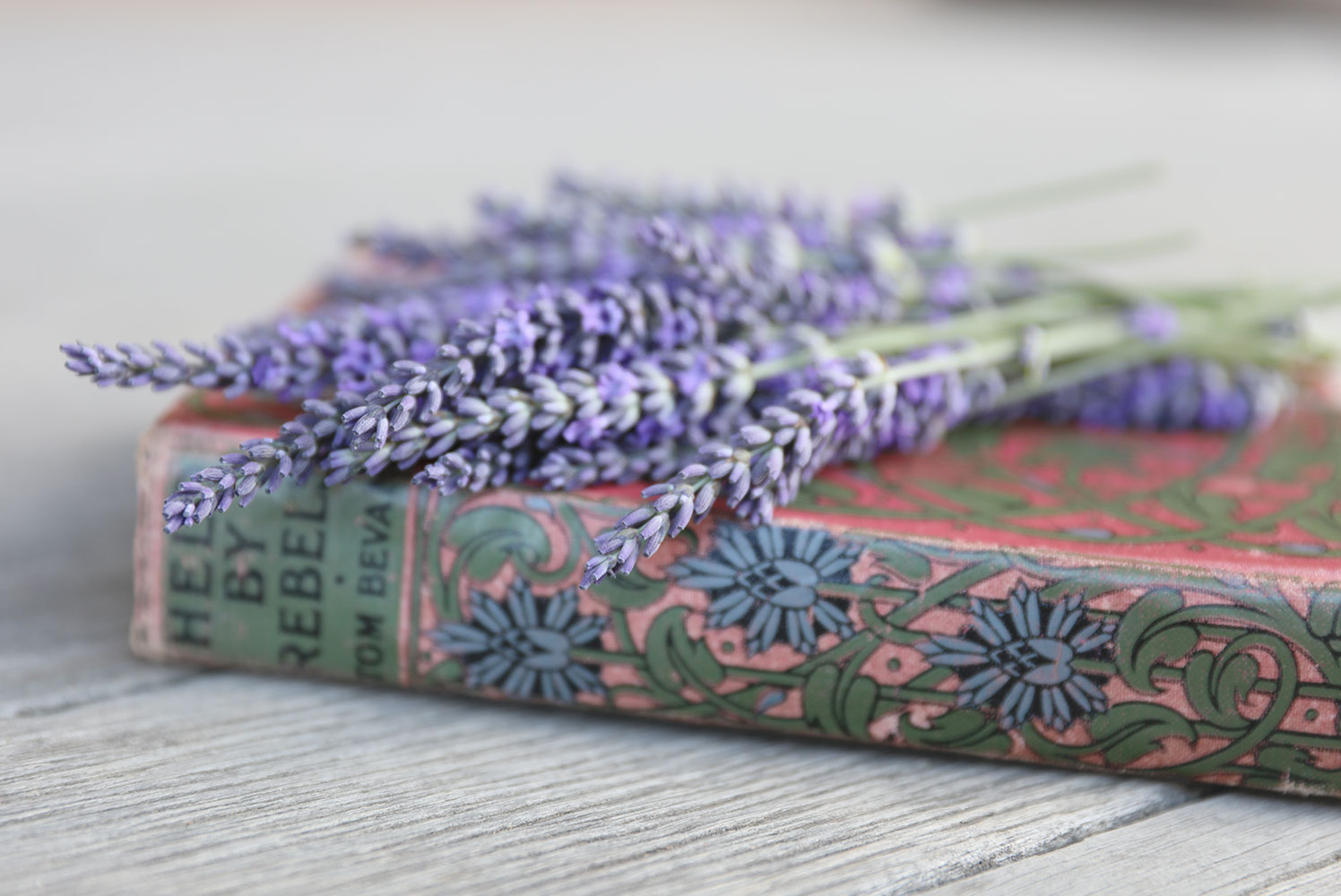 lavendar-book.jpg