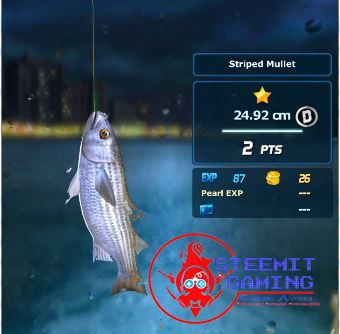 How to play the game ACE FISHING in the android [ENG] #7 — Steemit