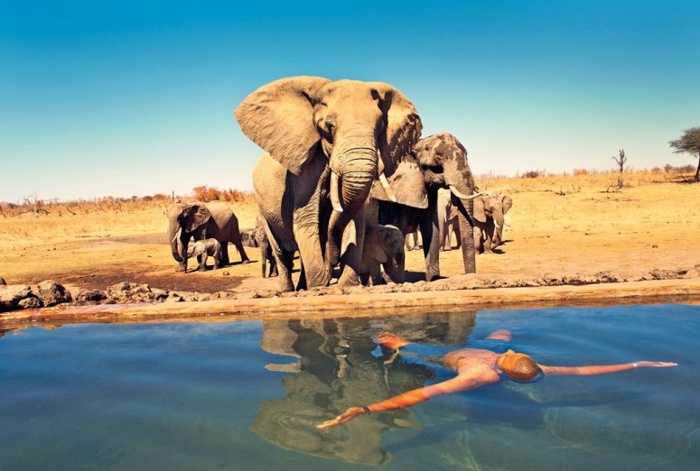 somalisa-camp-pool-elephants-hwange-national-park-zimbabwe.jpg