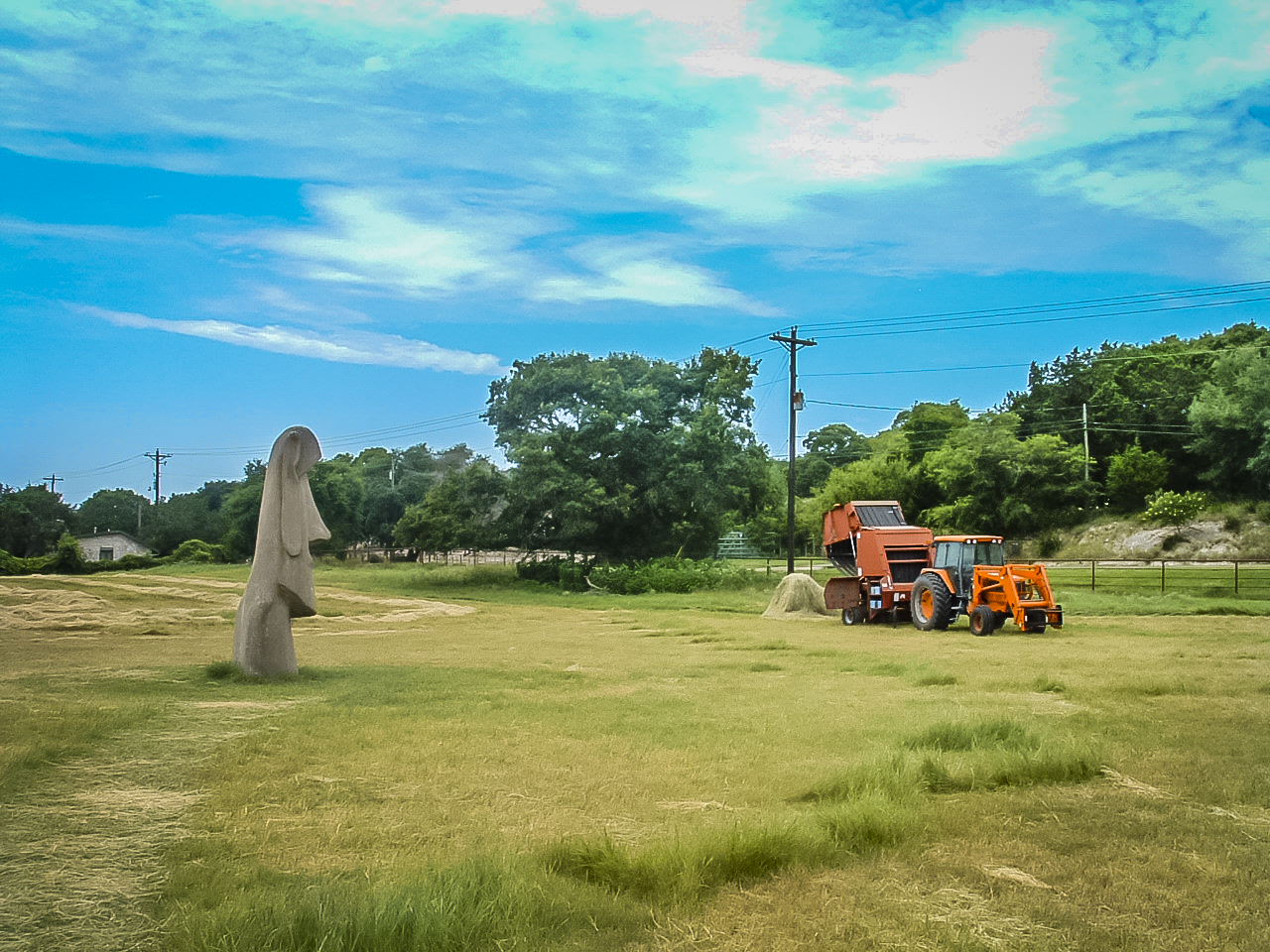 07_18_04_Easter_Island_Statues_(18).jpg