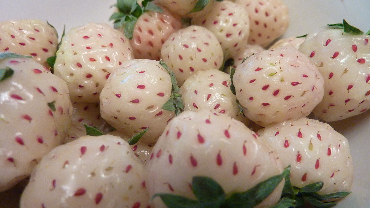 1200px-Pineberries.jpg