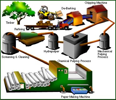 paper-making-graphic.png